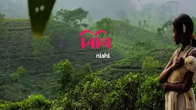 বিশ্বমঞ্চ ঘুরে বাংলাদেশে আসছে ‘নিশি’