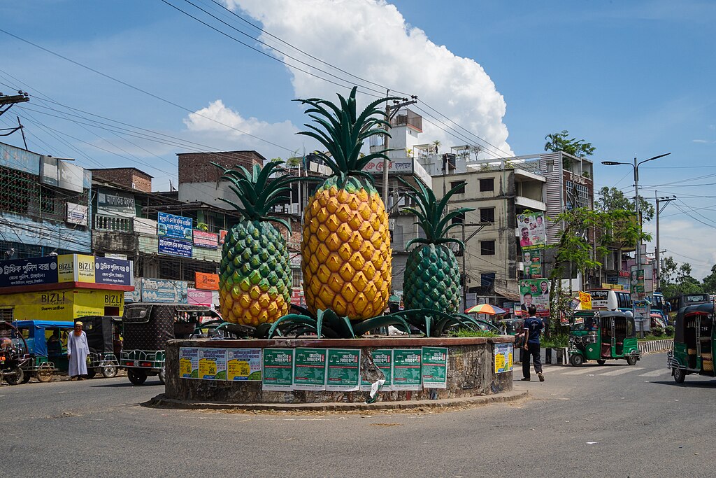 আনারসের জীবন নিয়ে ‘আনারসের ঢাকা সফর'