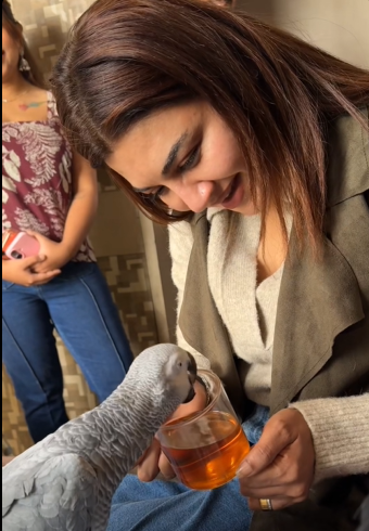 তোতাকে চা পান করালেন জয়া