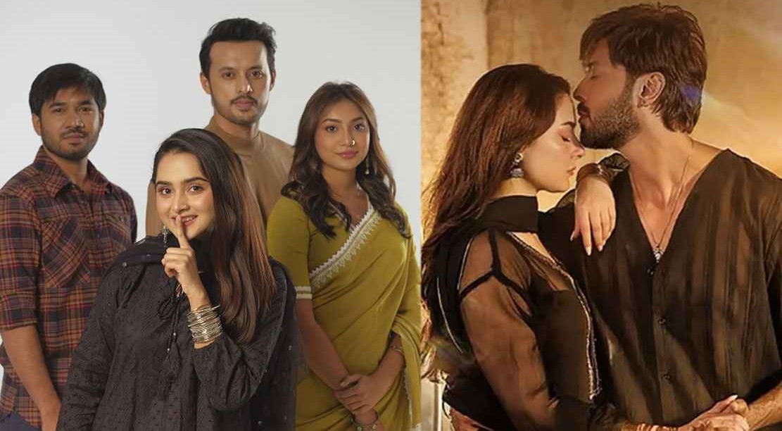 ‘এটা আমাদেরই গল্প’ পাকিস্তানি সিরিজের নকল?