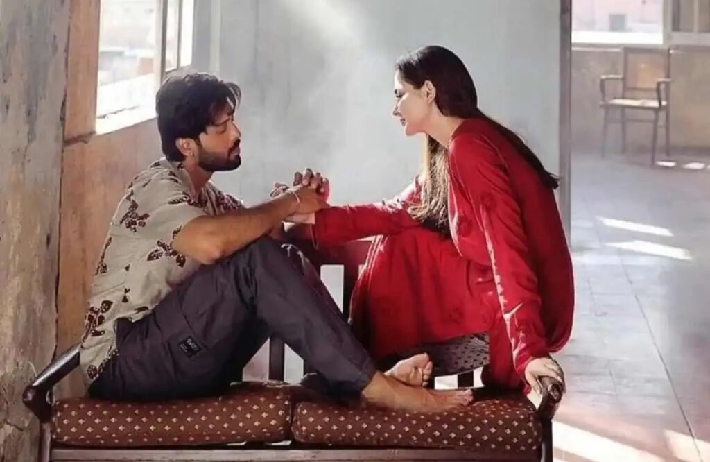 ‘এটা আমাদেরই গল্প’ পাকিস্তানি সিরিজের নকল?