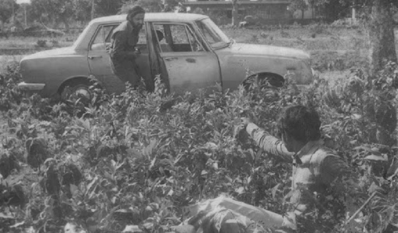 আলমগীর কবিরের জীবন