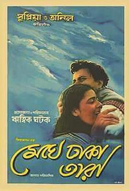 উপন্যাস থেকে চলচ্চিত্র