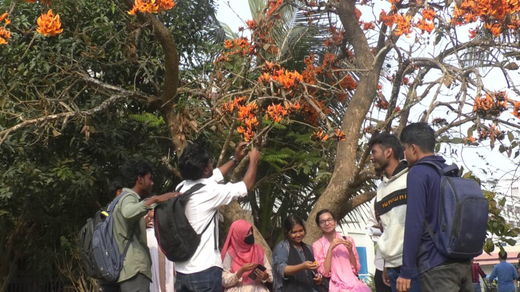 বসন্ত ও ভালবাসার রঙে রঙিন প্রকৃতি