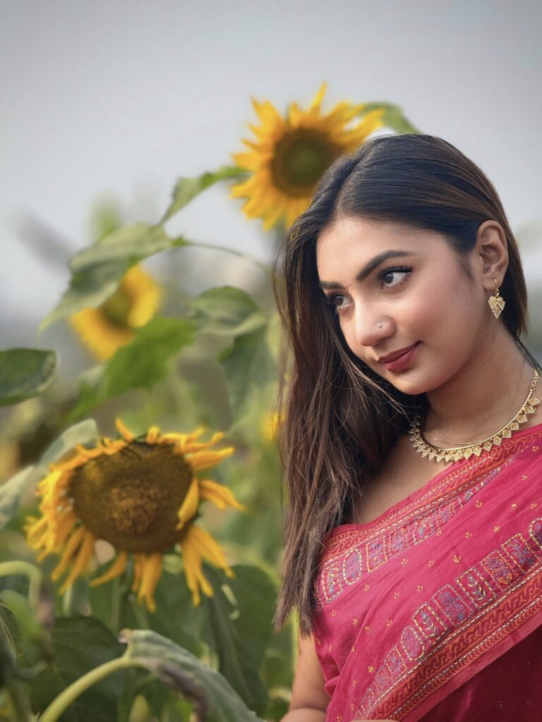 ‘দ্য ডিফিকাল্ট ব্রাইড’ অনুদান