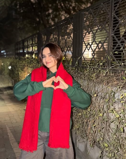 স্বাধীনতা দিবসে তারকাদের আবেগঘন পোস্ট