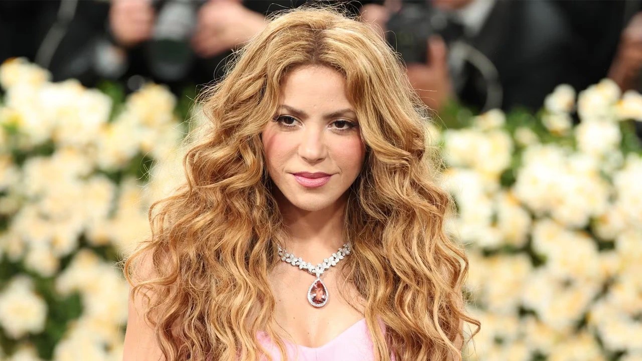 শাকিরার ভারত সফর বাতিল