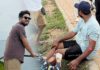 অভিনেতা খায়রুল বাসার থাইল্যান্ডে শুটিং শেষে দুর্ঘটনায় আহত থাইল্যান্ডে শুটিং শেষে দুর্ঘটনায় আহত অভিনেতা খায়রুল বাসার